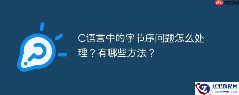 C语言中的字节序问题怎么处理？有哪些方法？