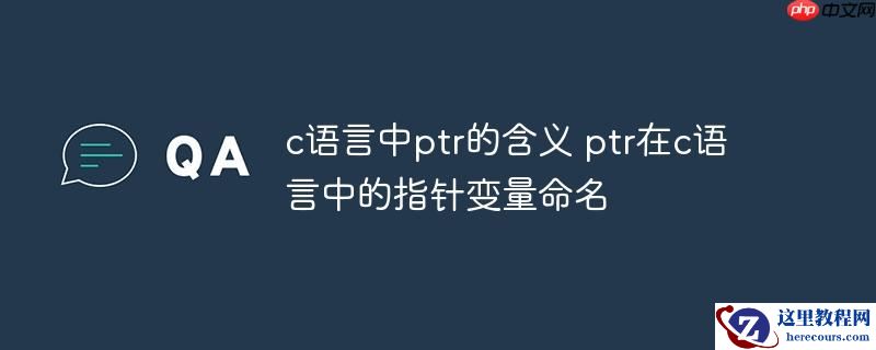 c语言中ptr的含义 ptr在c语言中的指针变量命名