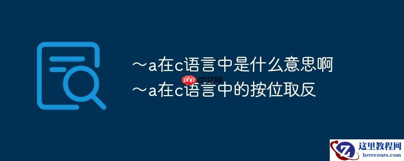 ～a在c语言中是什么意思啊 ～a在c语言中的按位取反