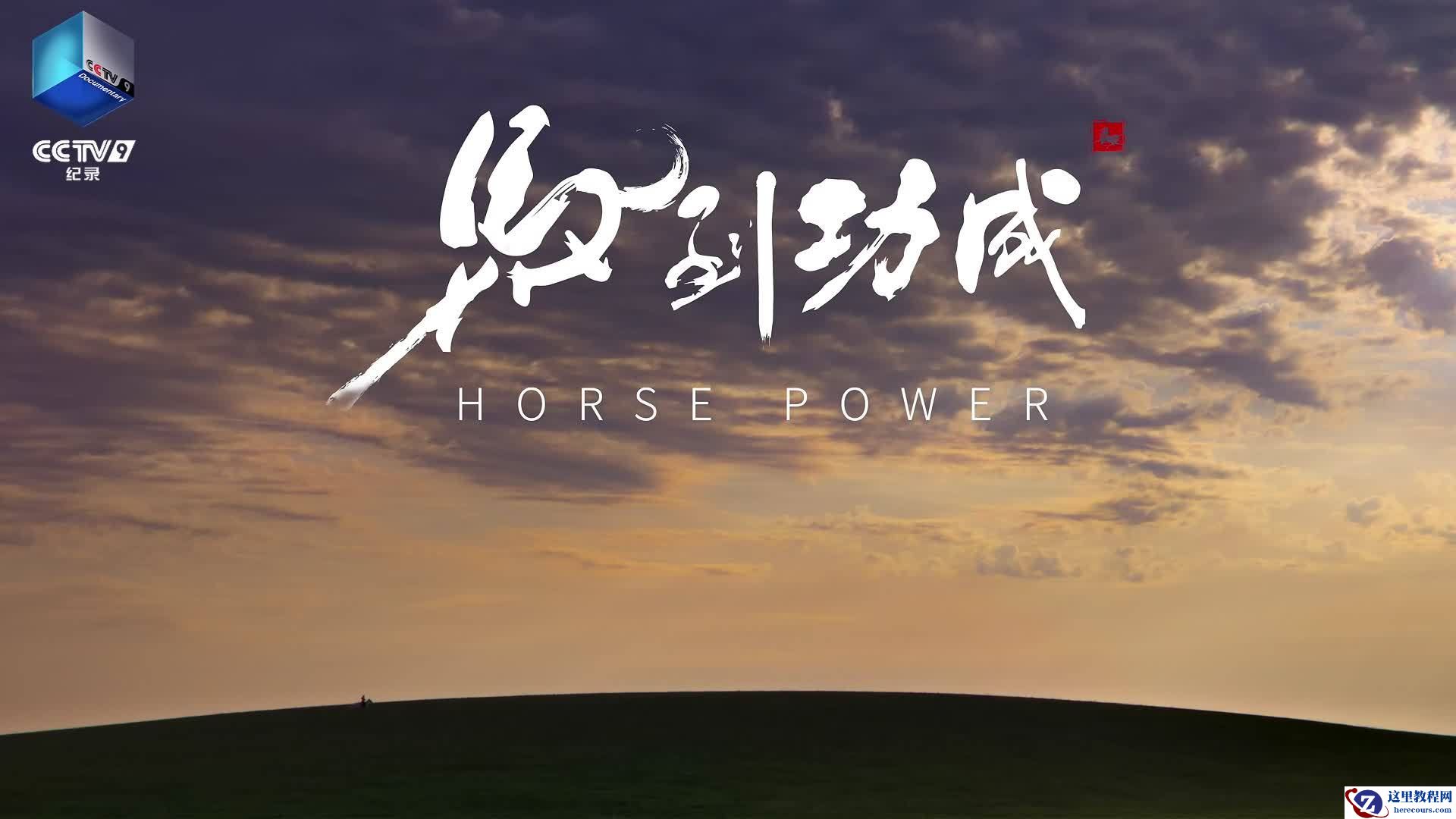 马年看马，全球首部生肖纪录大片《马到功成》今晚央视播出