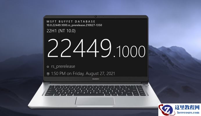 为什么没收到Win11 22449.1000更新 怎么才能收到22449.1000更新