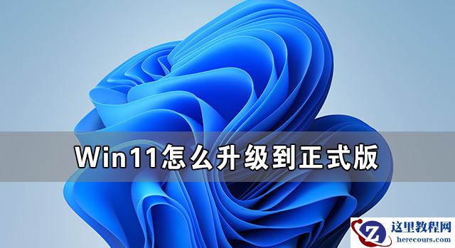 Win11怎么升级到正式版 Win11升级正式版的方法介绍
