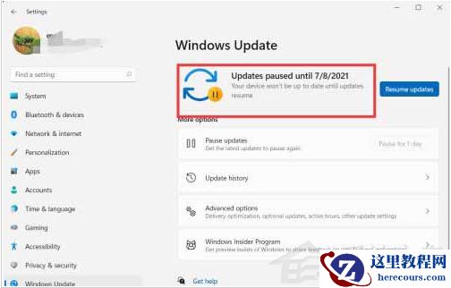 Win11怎么暂停系统更新？Win11暂停更新教程