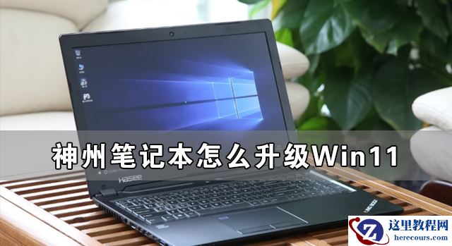 神州笔记本怎么升级Win11 神舟电脑升级Win11详细教程