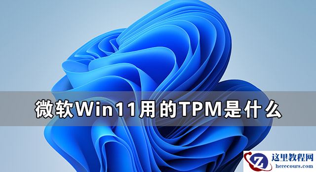 微软Win11用的TPM到底是什么 有关TPM详细解答