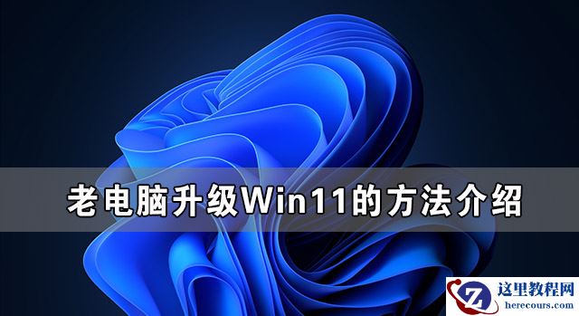 老电脑无法升级Win11 老电脑升级Win11的方法介绍