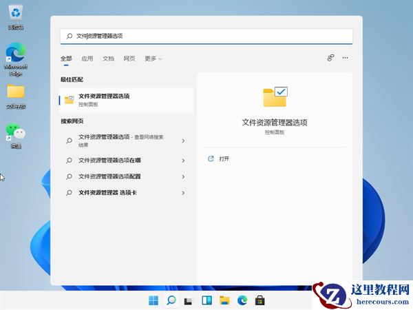 Win11怎么查看文件的后缀名？Win11显示文件后缀名的方法