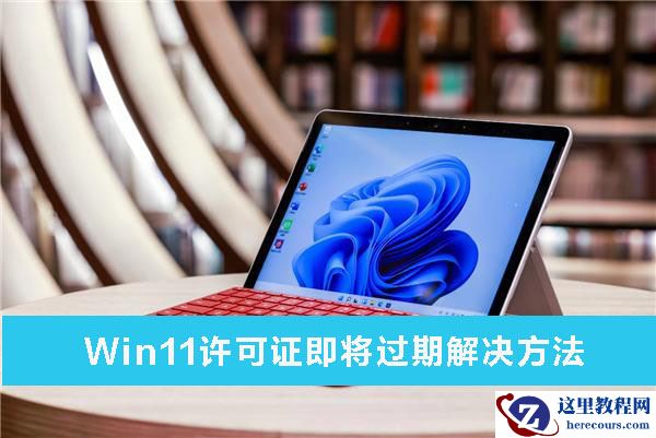 Win11许可证即将过期解怎么办？Win11许可证即将过期解决方法