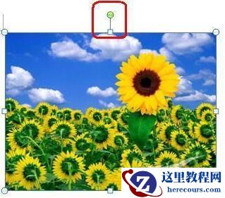 Word2007图像处理有哪些功能 Word2007图像处理功能介绍