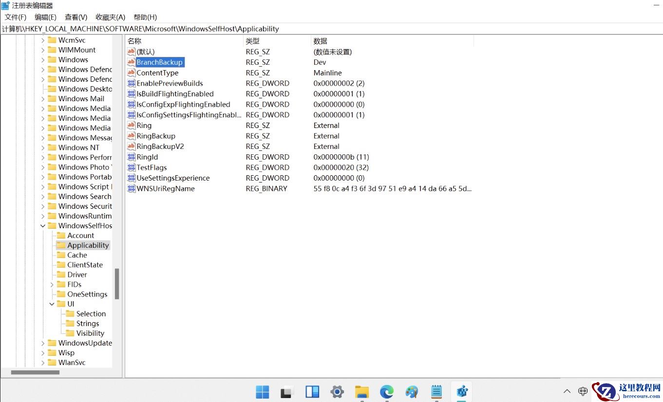 Windows11 22H2绕过TPM2.0检测升级(最新更新)