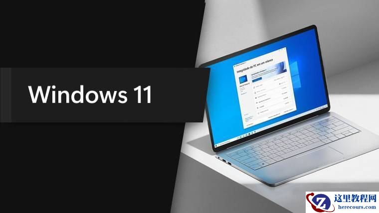 Win11 build 25227开始菜单标记如何使用？