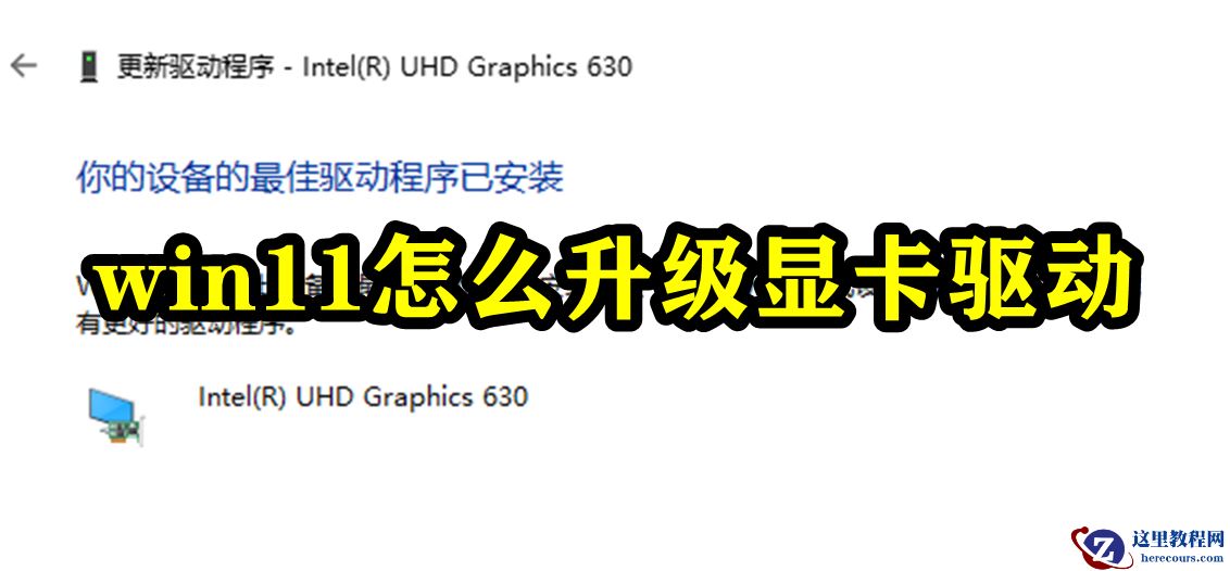 win11怎么升级显卡驱动？win11显卡驱动升级步骤教程