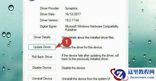 Win11触摸板设置消失了怎么办？Win11没有触摸板设置选项解决方法