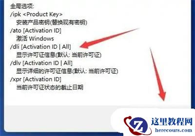Win11激活信息怎么看？Win11激活信息查看方法