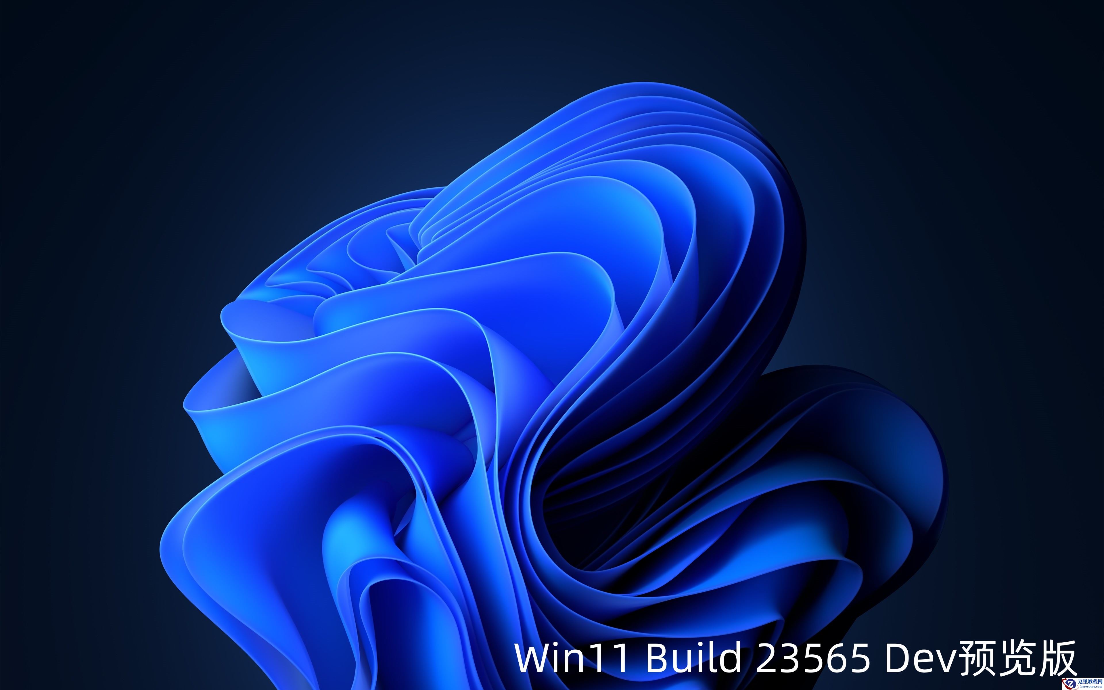Win11 Build 23565 Dev 预览版发布：任务栏显示 Copilot 新图标！