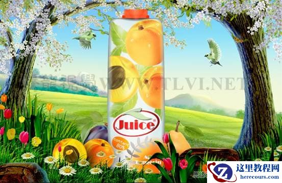 Illustrator CS5教程：通过蒙版功能制作饮料海报