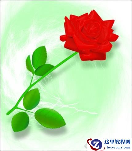 Illustrator基础教程：绘制漂亮的玫瑰花