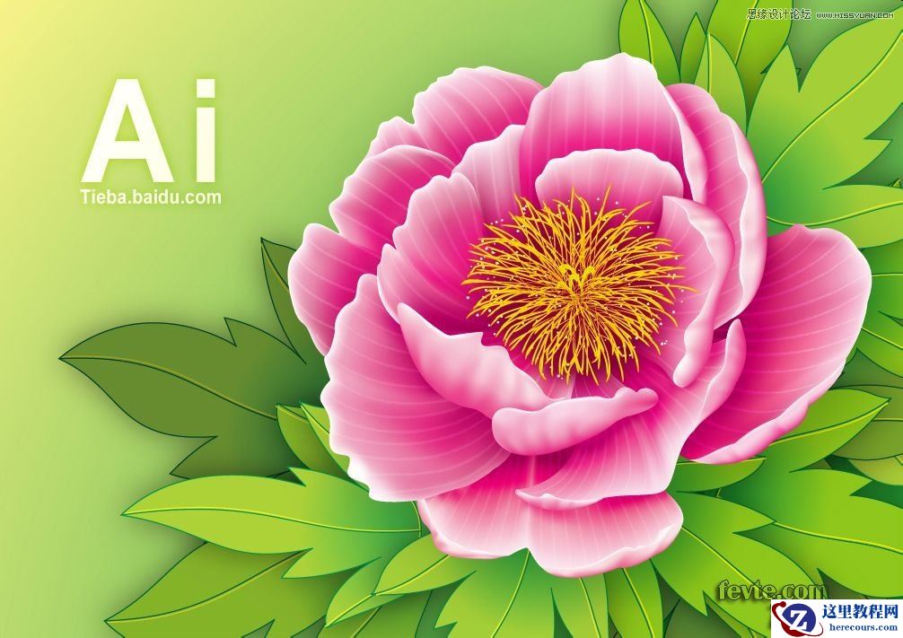 Illustrator绘制绽放的牡丹花教程