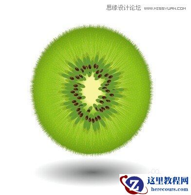 Illustrator绘制切开的猕猴桃效果图