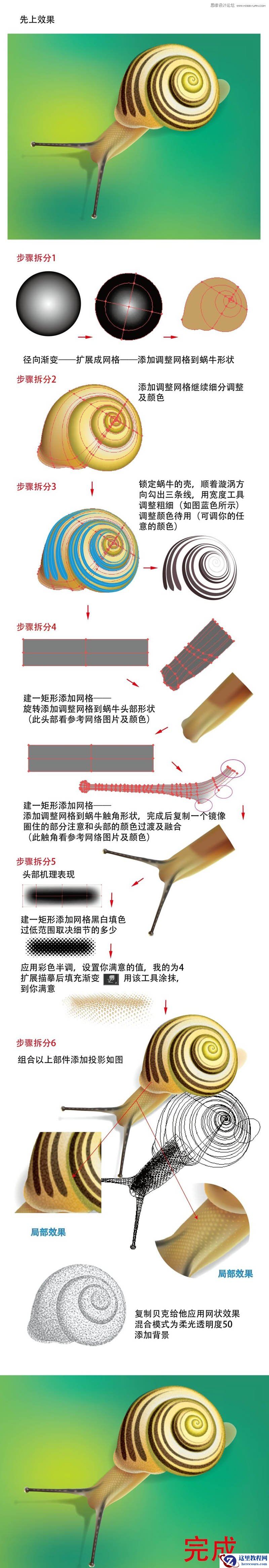 Illustrator绘制立体风格的蜗牛效果图