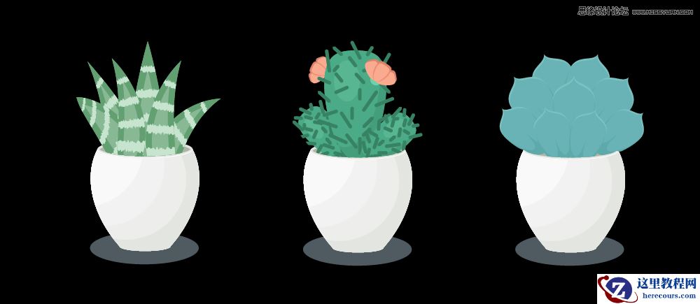 Illustrator绘制逼真的多肉植物插画