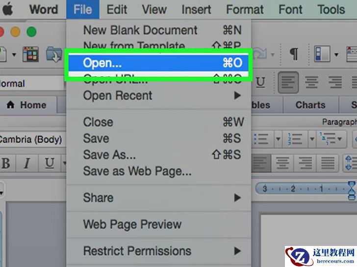 如何在微软的Word文档中插入符号