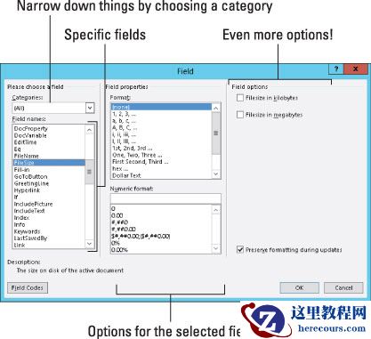 如何在Word 2013中使用字段?