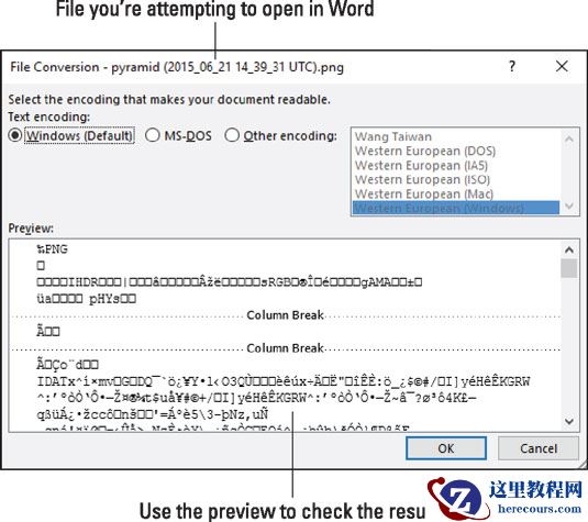 如何从Word 2016中的任何旧文件中恢复文本？