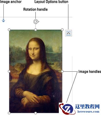 如何在Word 2016中在图像周围换行?