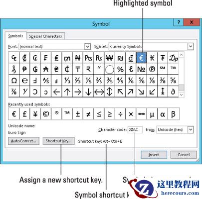 如何在Word 2013中使用特殊字符？