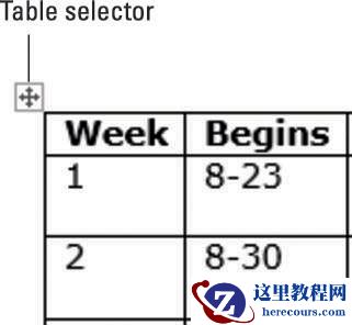 如何在Word 2013中选择行和列？