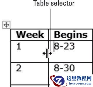 如何在Word 2013中调整表行和列的大小？