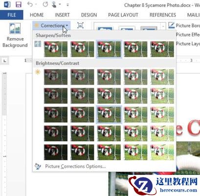 如何在Word 2013中对图片进行基本编辑？