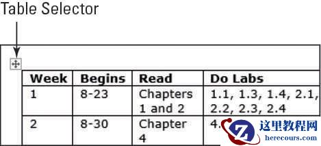 如何在word单词表中选择？