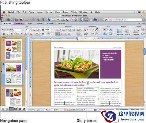 如何在Mac 2011中的Word中使用发布布局视图？