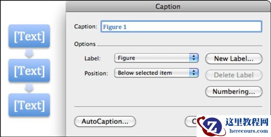 如何在Mac的Word 2011中创建图表？