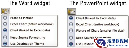将Excel图表复制到Word或PowerPoint？