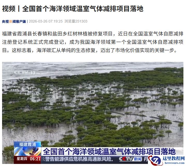 全国首个海洋领域温室气体减排项目落地福建，修复霞浦红树林