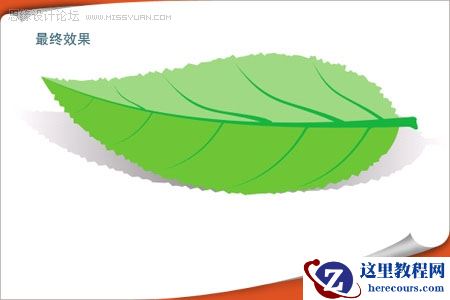 用CorelDRAW绘制漂亮的矢量树叶