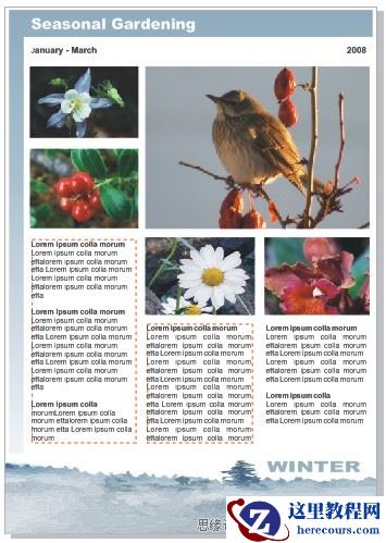 用CorelDRAW X4表格工具轻松创建漂亮传单