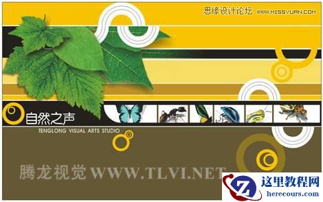 CorelDRAW设计环保宣传海报教程