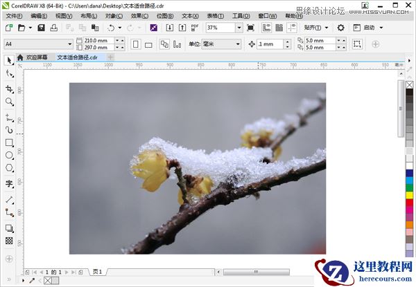 CorelDRAW如何制作路径文字