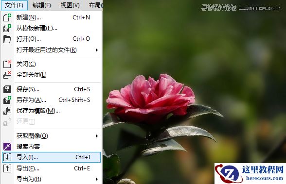 CorelDRAW快速制作雨天雪天和雾天效果
