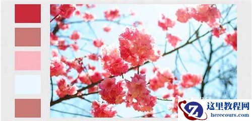 PPT配色有哪些技巧 PPT配色教程学习