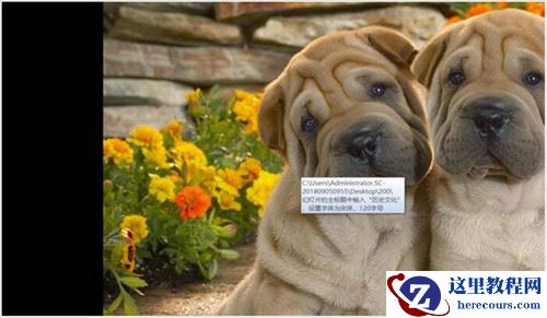 PPT图片添加超链接教程 PPT怎么实现图片添加超链接到指定文件夹