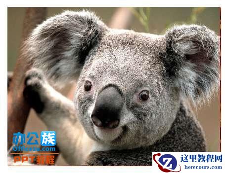 选择PowerPoint2010中窗格被遮挡的对象