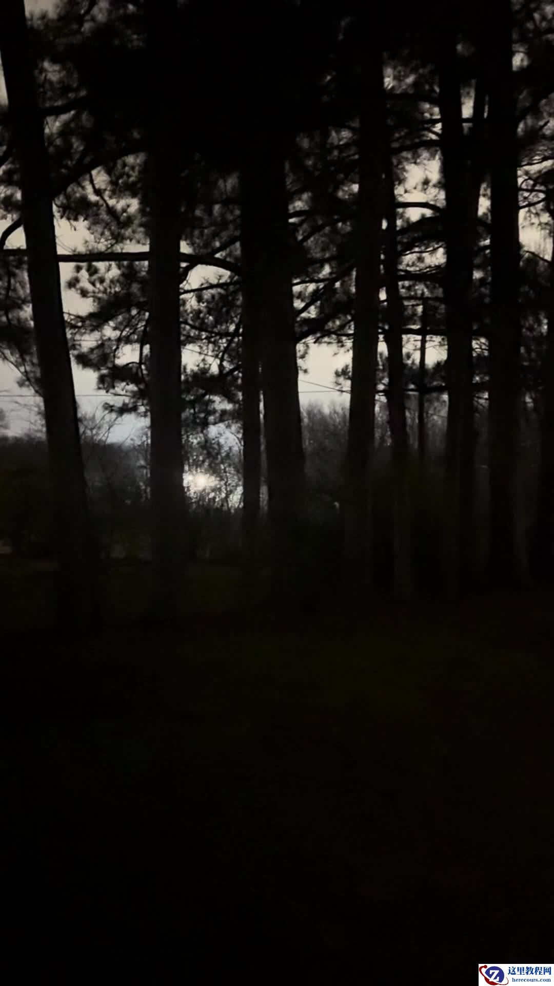 马斯克 xAI 发电厂噪音堪比喷气式飞机，遭居民集体抗议