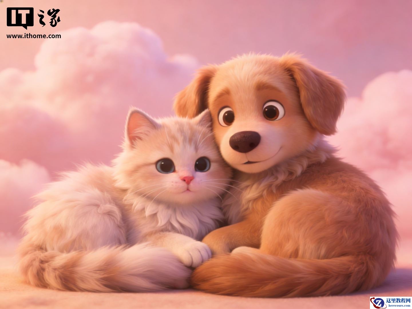 京东发布全国首个互联网宠物犬猫交易标准，解决信息不透明痛点