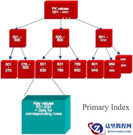 建立索引的原则 - 以innodb为例