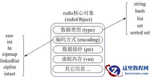 Redis和Memcached的区别